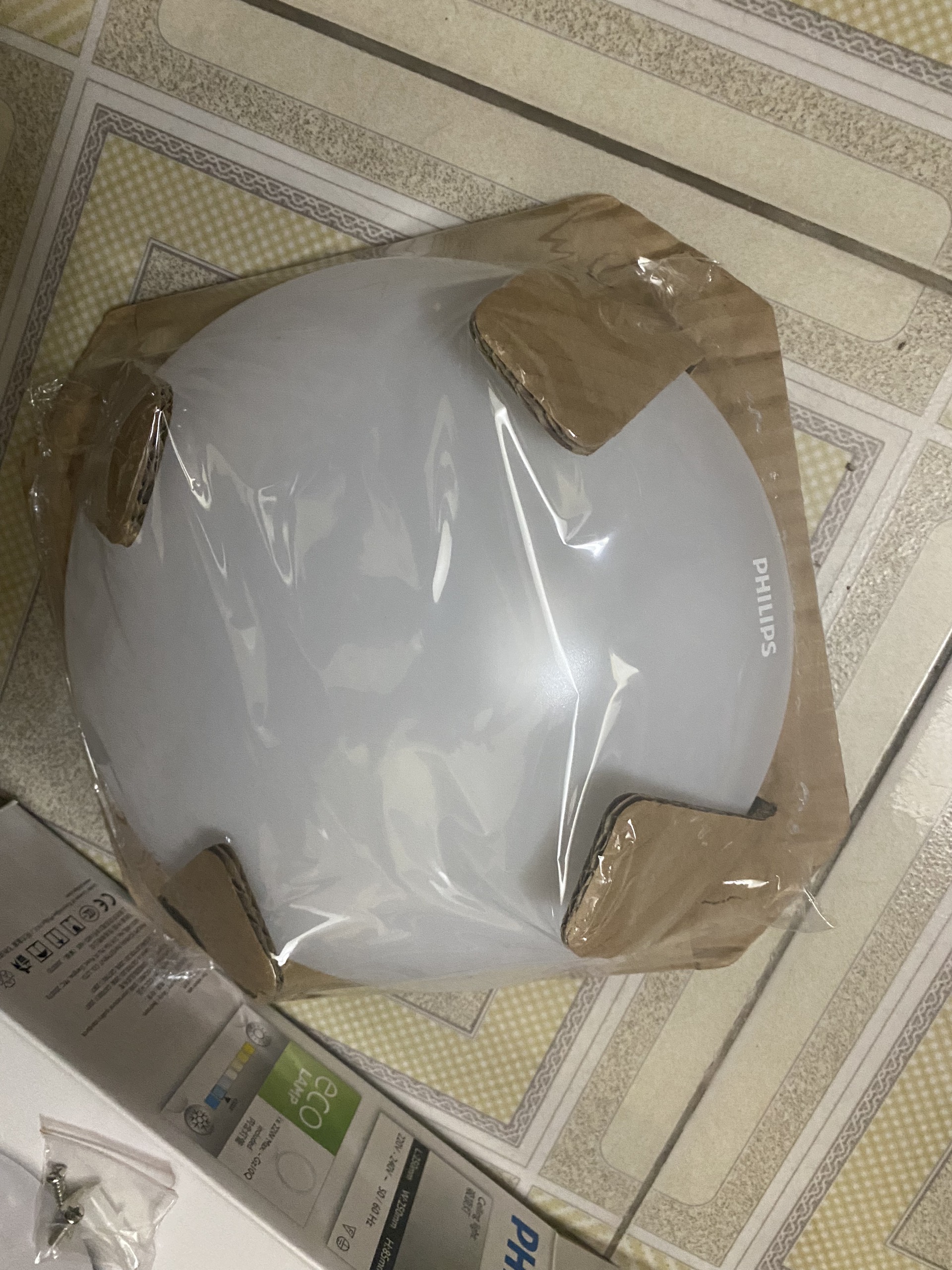 1701398734_z4857231010235_01767728dfefce50e06124c8e20bd1e8