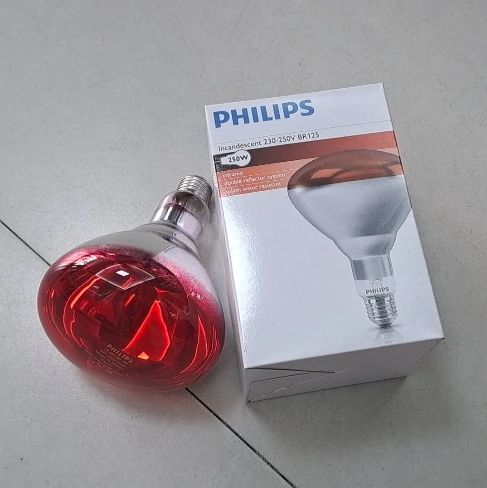 bong-_suoi-_hong-_ngoai-_infraed-_philips-_b_r125-250_w-large